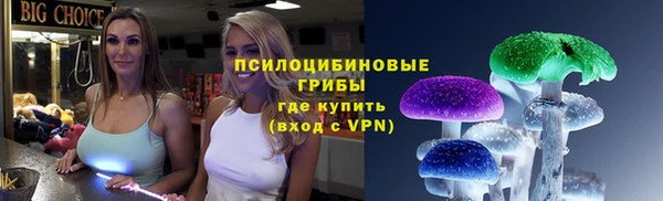 таблы Белокуриха