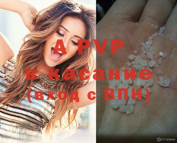 СК Беломорск