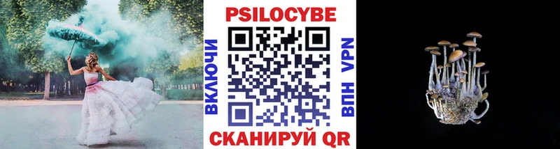 Псилоцибиновые грибы мицелий  Верхняя Тура 