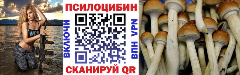Псилоцибиновые грибы Cubensis Верхняя Тура